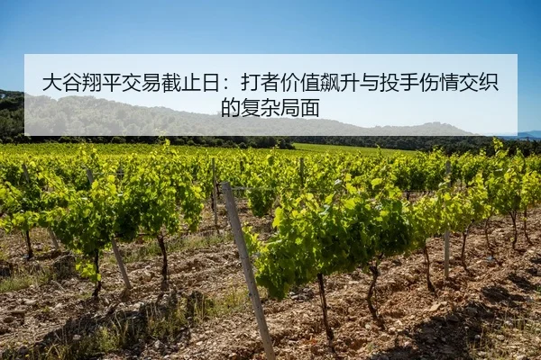 大谷翔平交易截止日：打者价值飙升与投手伤情交织的复杂局面