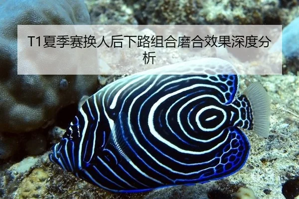 xia-ji-sai-huan-ren-hou-xia-lu-zu-he-mo-he-xiao-guo-shen-du-fen-xi-3-528.jpg