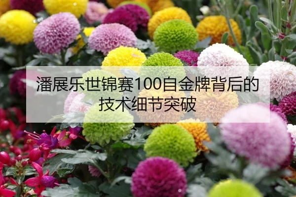 潘展乐世锦赛100自金牌背后的技术细节突破