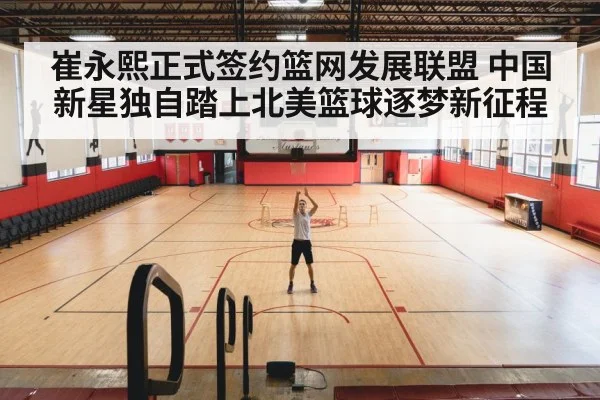 basketball training court