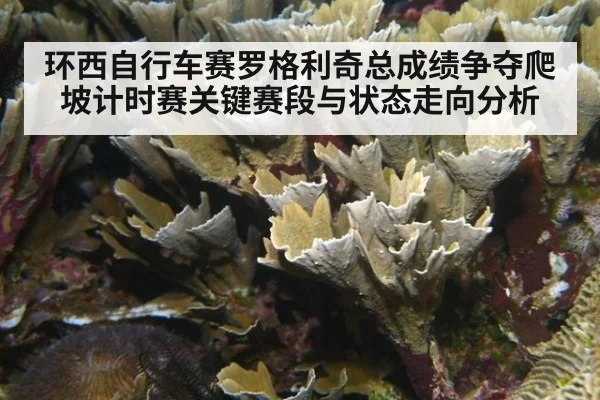 环西自行车赛罗格利奇总成绩争夺爬坡计时赛关键赛段与状态走向分析