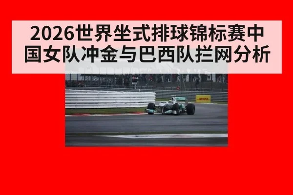 2026世界坐式排球锦标赛中国女队冲金与巴西队拦网分析